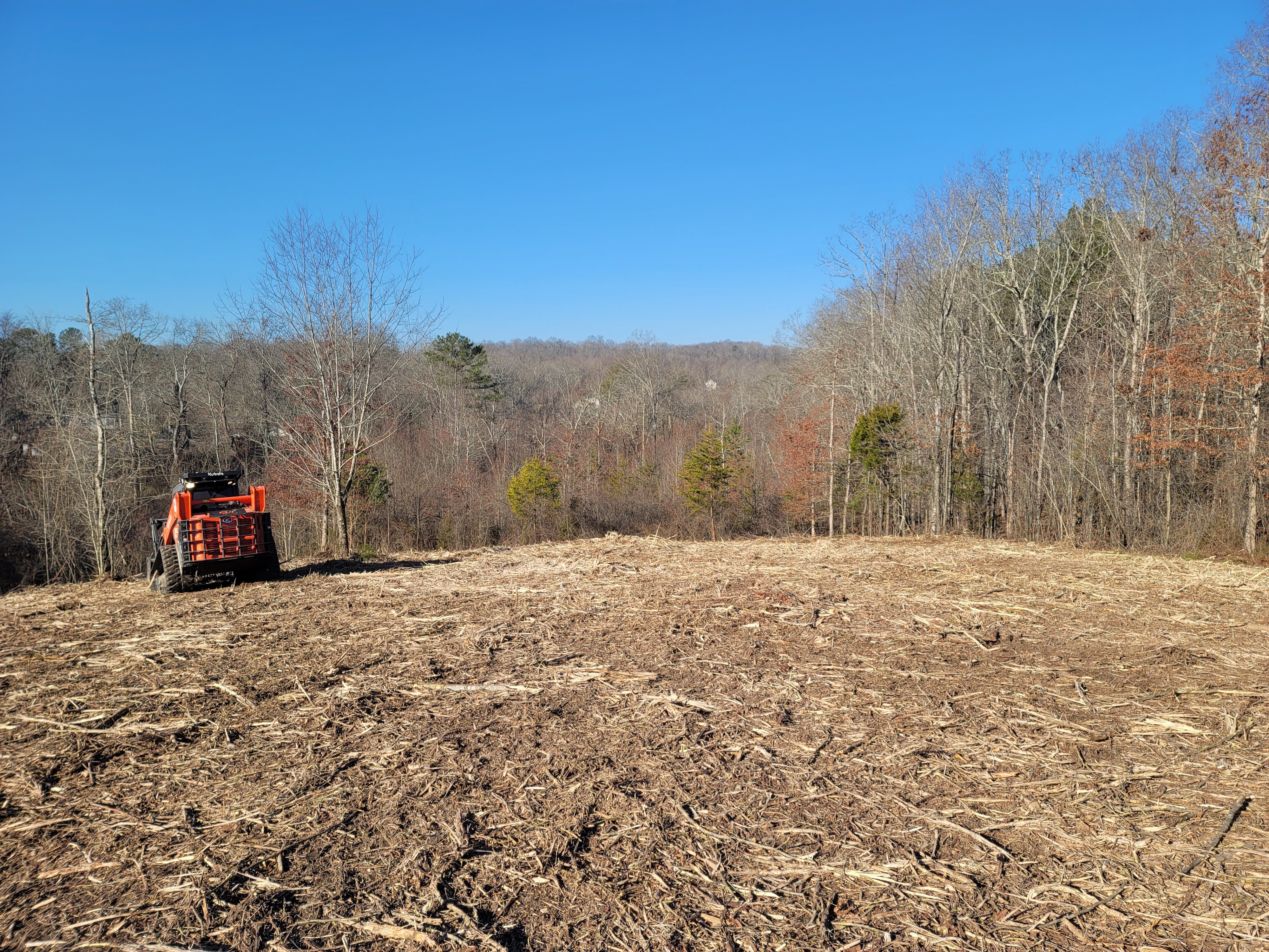 Skid steer clearing brush and land
